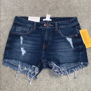 H&M ‘Hot Pants’ High Rise Denim Shorts